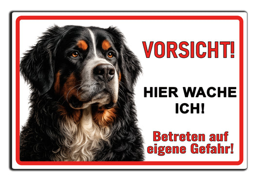 Berner Sennenhund Hier wache ich