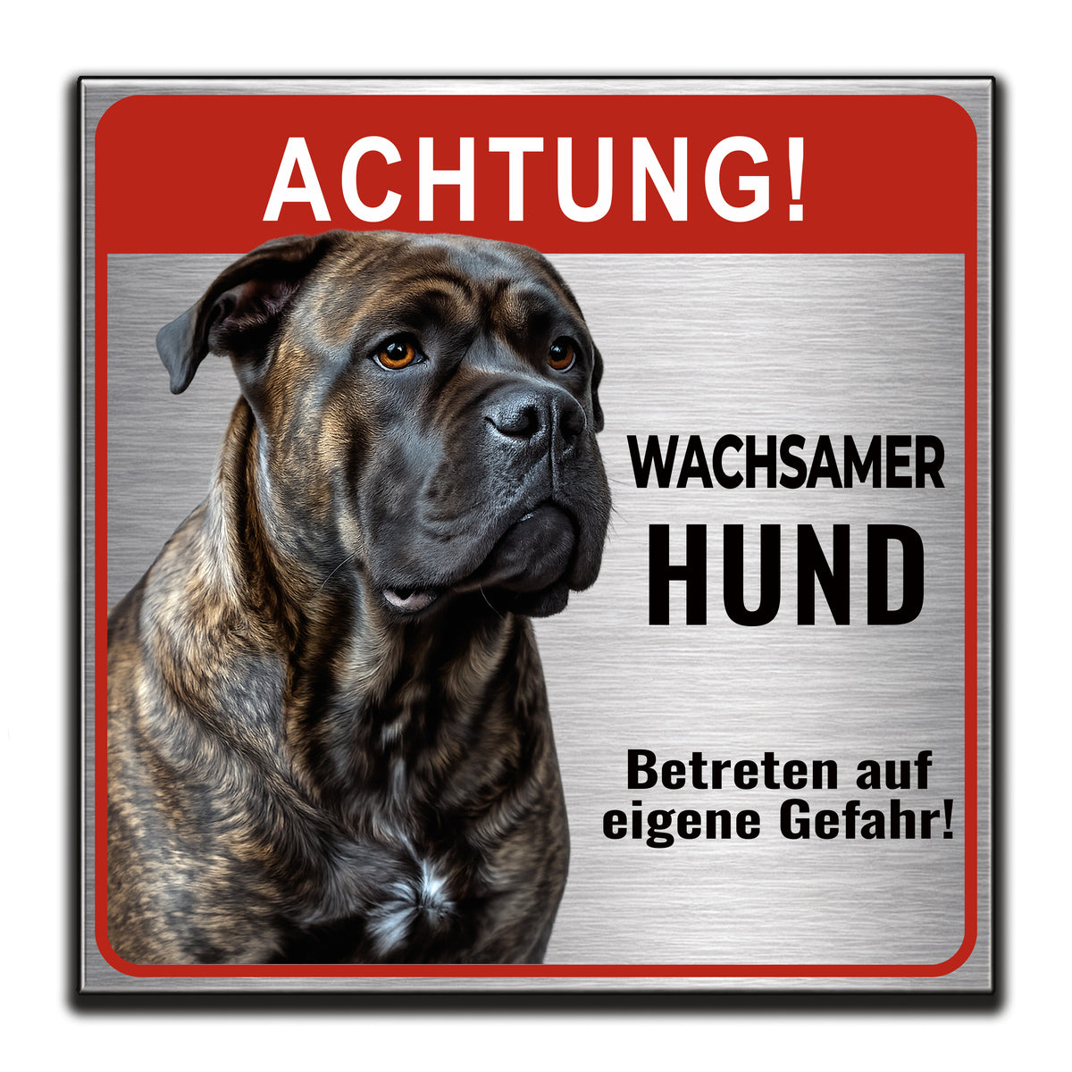 Cane Corso Warnschild – Wachsamer Hund | Silber gebürstet