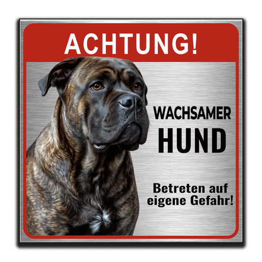 Cane Corso Warnschild – Wachsamer Hund | Silber gebürstet
