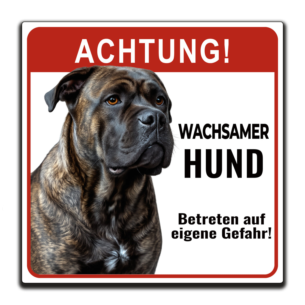 Hundeschild Cane Corso Warnschild – Wachsamer Hund | Aluverbund weiß