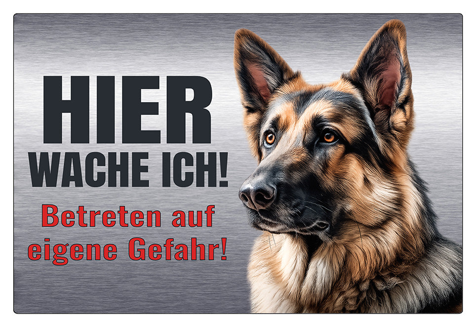 Hundeschild Deutscher Schäferhund Hier wache ich! – Premium Warnschild Hund aus Aluminium Verbund in Edelstahl Optik – Wetterfestes Schild für Außenbereich