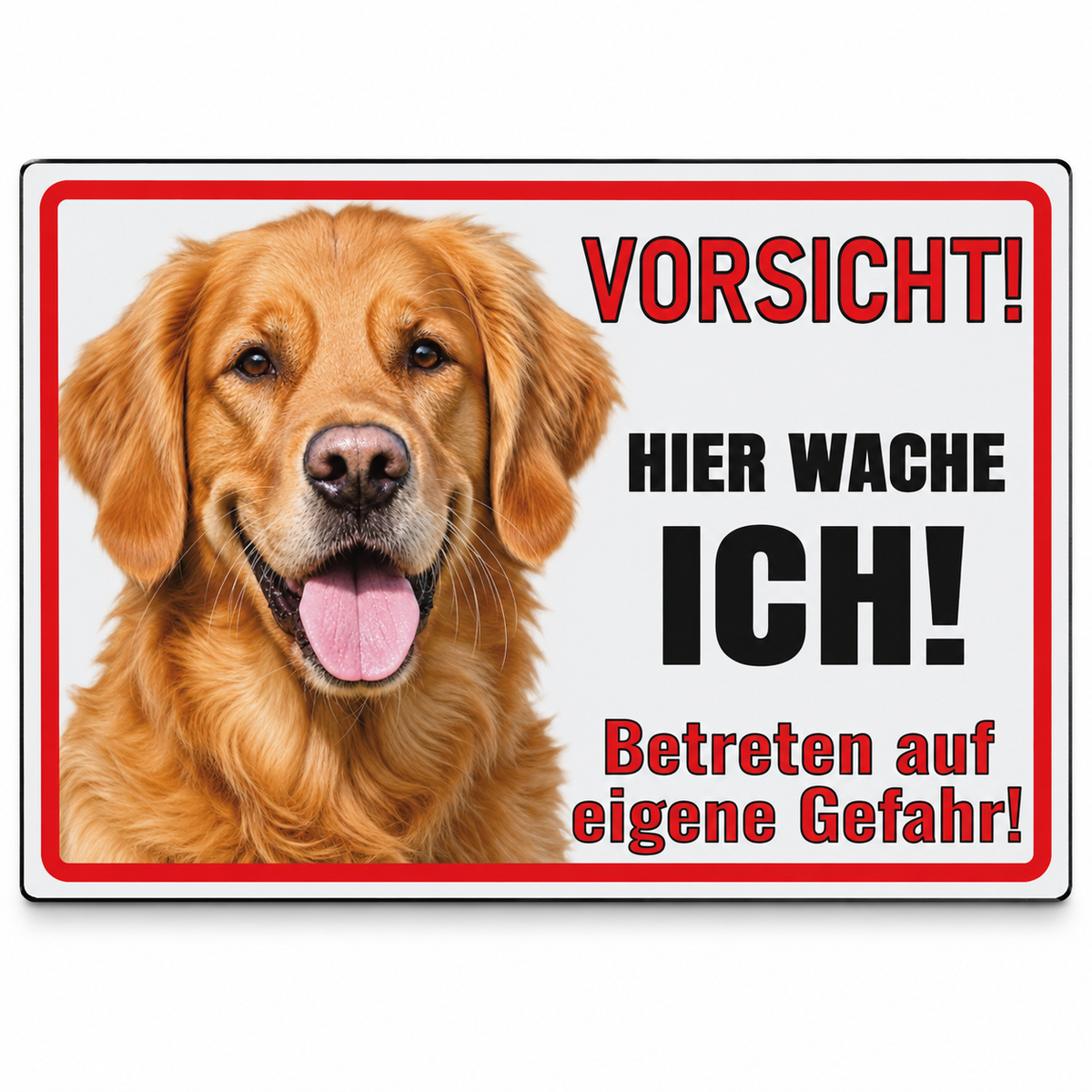 Golden Retriever Hundeschild aus weißem Aluminium-Verbund – Vorsicht Hier wache ich