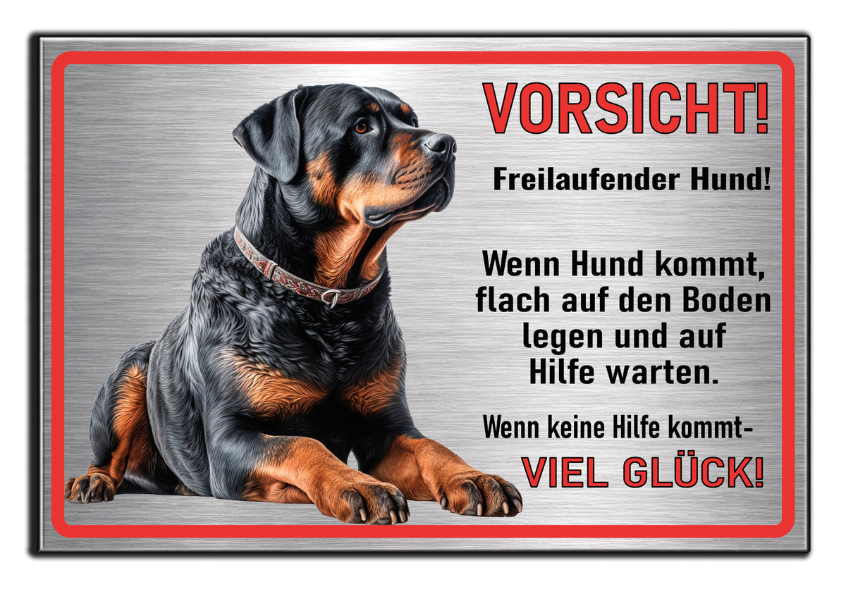 Hundeschild freilaufender Hund Silber wetterfest