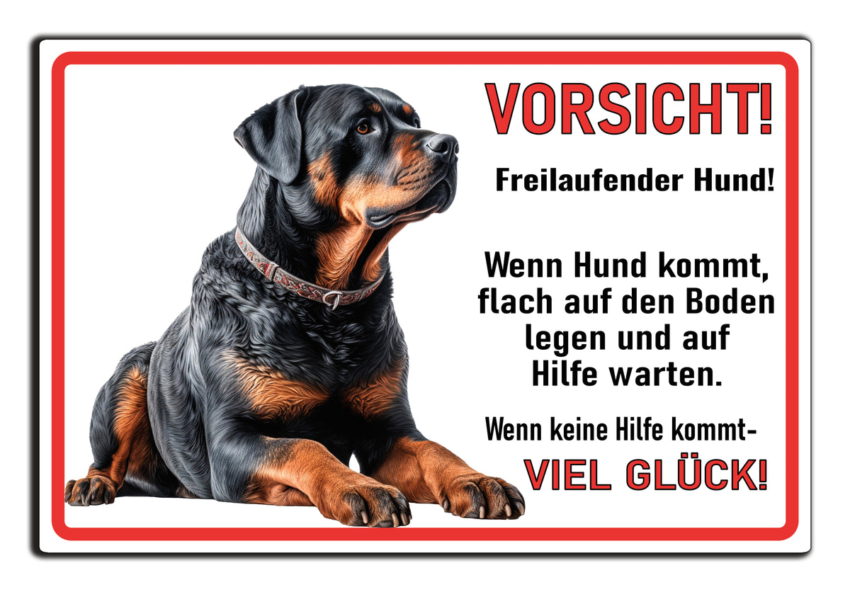 Rottweiler freilaufender Hund